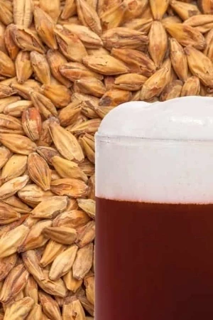 Slad Best Caramel® Amber (karamelový jantarový)