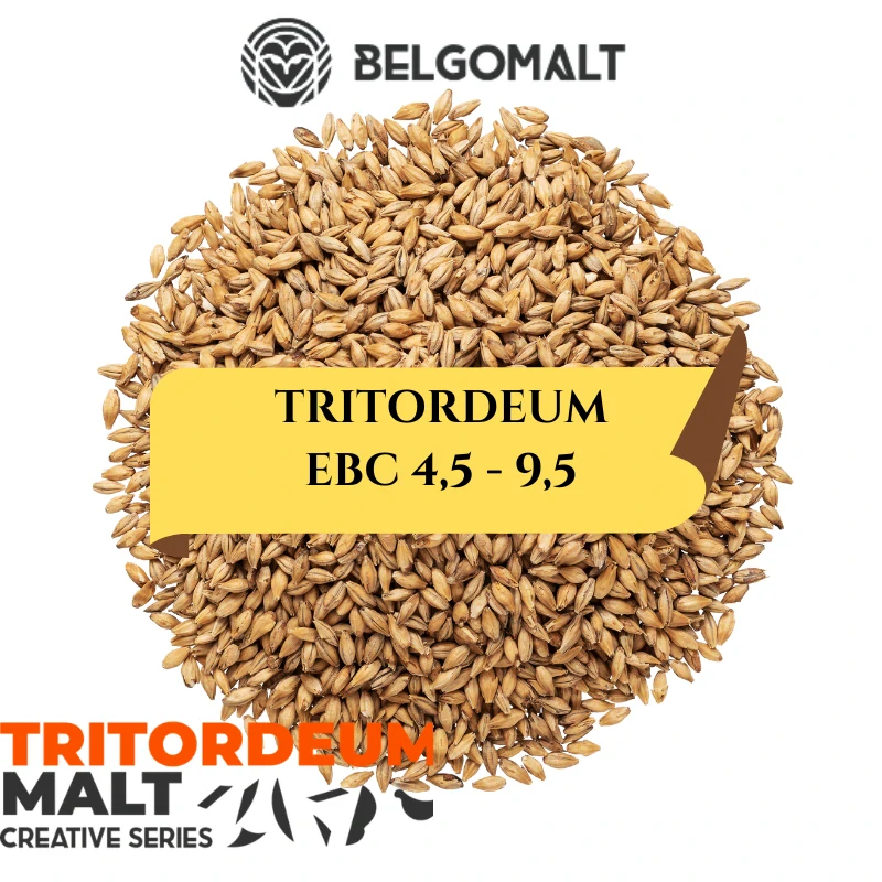 Slad Belgomalt Creative Series - Tritordeum