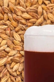 Slad Best Caramel® Amber (karamelový jantarový)