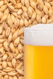 Slad Best Pilsen (plzeňský)