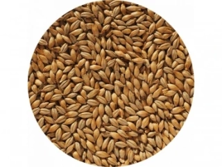 Crisp Finest Maris Otter Ale Malt slad